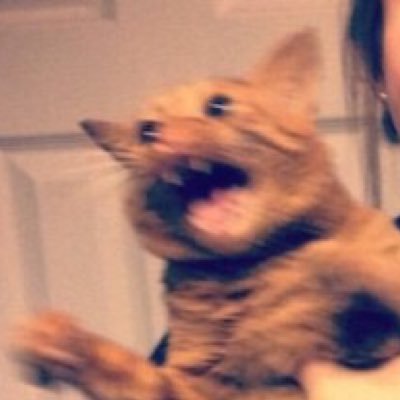 RobC42's profile picture. Rum & triangular sandwich lover . Loves crisps but not in a weird way. Key Skills : Accidentally water boarded myself whilst out drinking