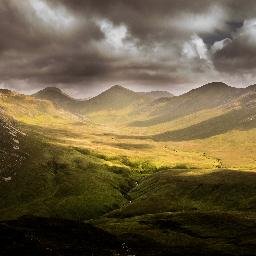 ThatKyle3's profile picture. 