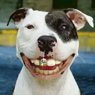 Kratai_029's profile picture. คนที่ผ่านเข้ามาในชีวิต.... ....บางคนเป็นของขวัญ ....บางคนเป็นบทเรียน ....บางคนเป็นมิตร ....บางคนเป็นศัตรู....