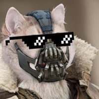 Mental Gear (@metalonov) 's Twitter Profile