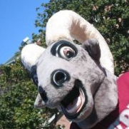 GOMPEI THE GOAT π Profile