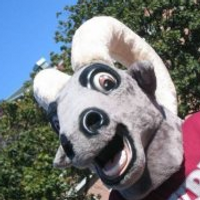GOMPEI THE GOAT 🐐 (@gompei) 's Twitter Profile Photo GOMPEI THE GOAT 🐐 (@gompei) 's Twitter Profile Photo