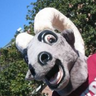 gompei's profile picture. 🐐 Mascot @WPI 🥕 pronouns: goat/goat