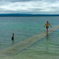 Danielle Alfirevic (@dalfirevic) 's Twitter Profile