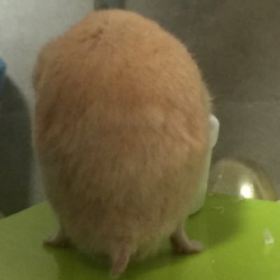 最近は自分自身を振り返り中/前田裕二/メモの魔力/放送大学/心理と教育/2019年10月入学/リベシティ会員/2024.09入学
