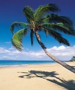 ImDSmith's profile picture. Love my Wife, Dog, Family, Friends, Food, Wine, Beaches & Jimmy Buffett!