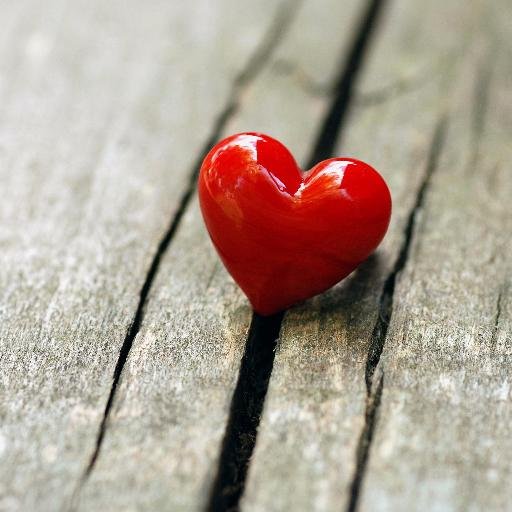 Love isn't something you find. Love is something that finds you