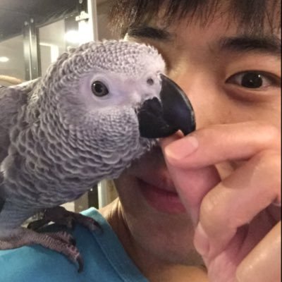 yangye0717's profile picture. 我就喜欢～～