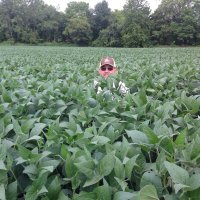 Mark McClain (@covermycrops) 's Twitter Profile Photo