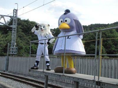 kangaroo11's profile picture. 野球と鉄道と東京03