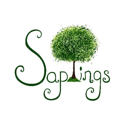 Saplings is a children's indoor play space, designed to foster creative, pretend, and imaginative play through art, music, reading, physical and pretend play.