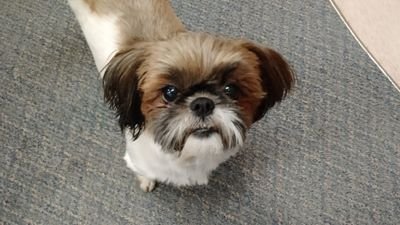 Dansmortensen1's profile picture. 