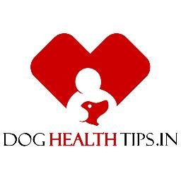 doghealthtips1's profile picture. 