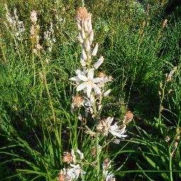 rb_form_docente's profile picture. 