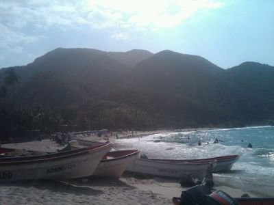 millanbjesus's profile picture. Estudiante de la maestria ATRL, trabajador de la Dirección de Cultura UC y la FILUC...