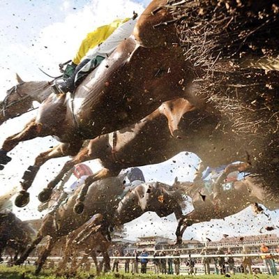 I provide 3 horse racing tips a day which are always my best bets. Don't miss out!! There is money to be made if you follow me!