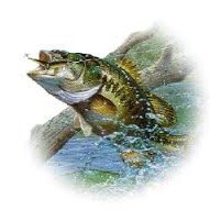 wharton_club's profile picture. Wharton High school fishing club