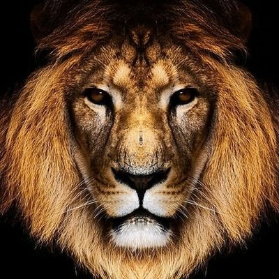 javiier90vlc's profile picture. 