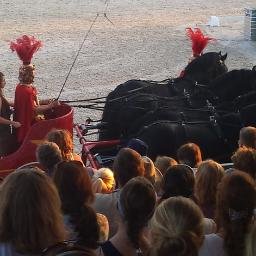 streitwagenshow's profile picture. Spektakuläre Pferdeshow mit 4 Friesenhengste aus Region Venlo (Niederlande)