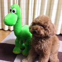 taniharu (@58Cide) Twitter