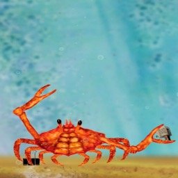 KendraCrab's profile picture. 