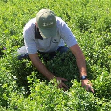 Ing. Agrónomo, Stoller Argentina en Neuquén y Río Negro.