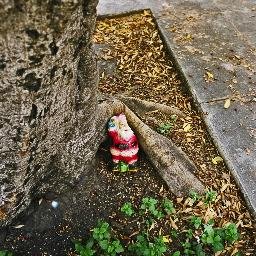 JeffAverage's profile picture. 