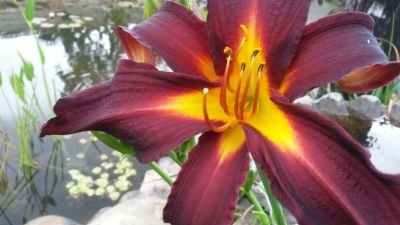 abramvdw62's profile picture. 