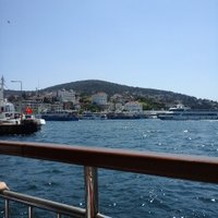 laik ilknur (@sfrayik) 's Twitter Profile
