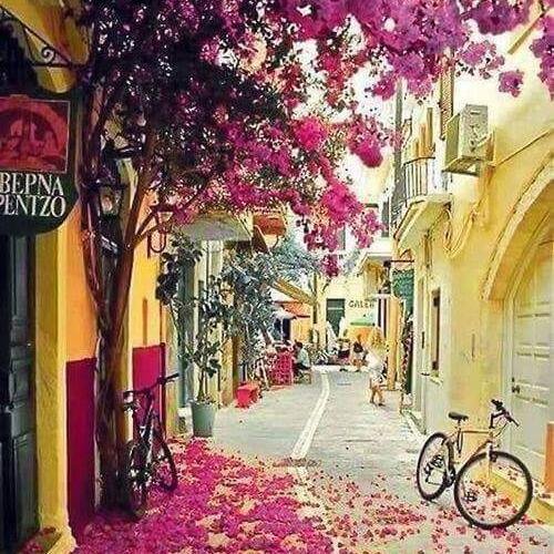 Elyahyaouisameh's profile picture. 