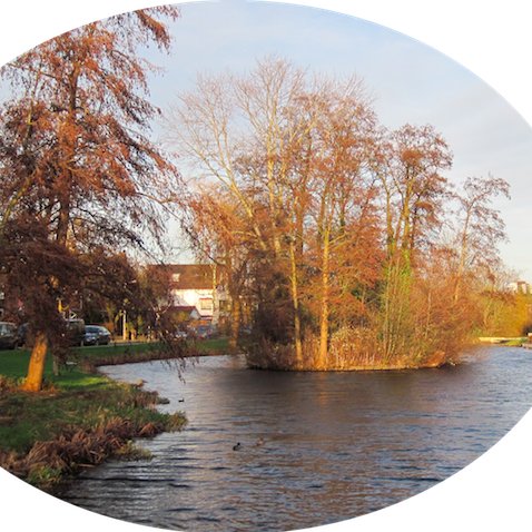 krimwijkontmoet's profile picture. Burgerinitiatief om bewoners van de Krimwijk(1) te Voorschoten met elkaar in contact te brengen. Berichten over activiteiten via Twitter en website.