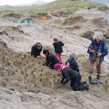 mahareesmatters's profile picture. Maharees Conservation Association is a 100% volunteer led, registered charity that aims to protect the spectacular coastline and natural habitat of Maharees.