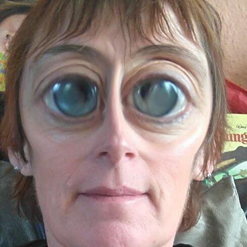 sanjan53's profile picture. 