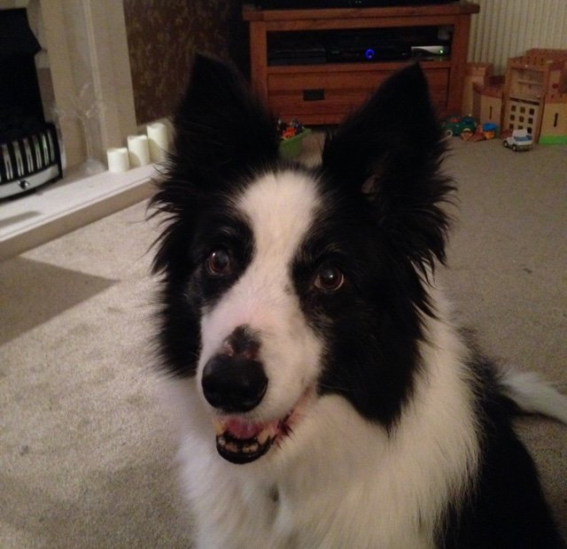 rckd74's profile picture. https://t.co/g4fdrYhzzo