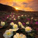 Hawa (@0557_31) Twitter