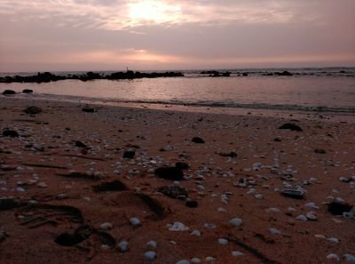 CartagenaTobias's profile picture. 