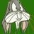 Wsupdoc's profile image