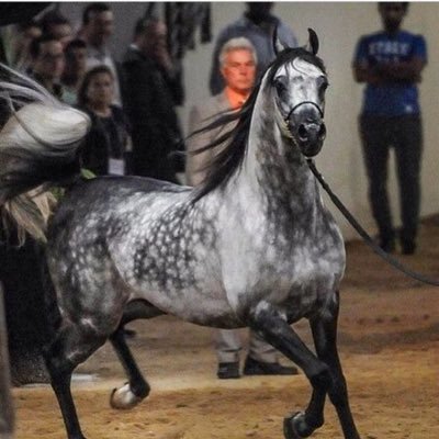 javatime13's profile picture. ملحان ملحان اليا قلنا من أساسه @ أو ثامنة معجزات السبع ملحاني