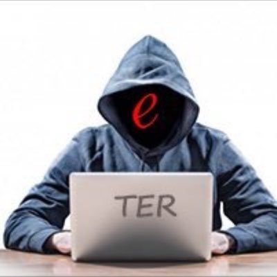 EXPOSING EXPLOITATION, CYBERPIMPING, BULLYING, HARASSMENT, & PROFITEERING OF SEXWORKERS BY THE ESTABLISHMENT RACKET KNOWN AS TER. #FCKTER #DELISTED @fckp411