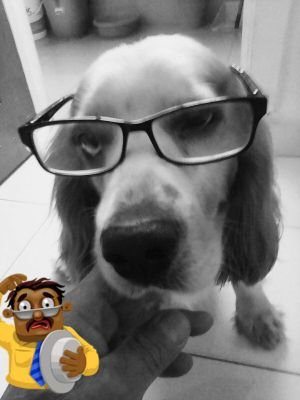 jorge_150151's profile picture. 