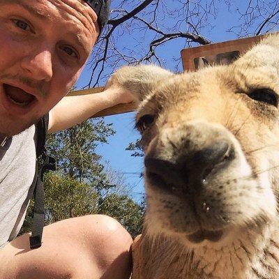 nur8s3's profile picture. STRAYA M8