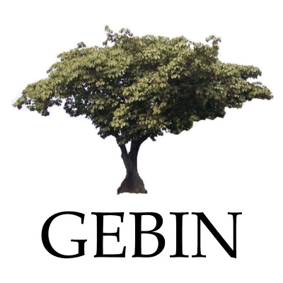 bicentenarioIN's profile picture. Organización que pretende hacer que la generación que egresa el 2010 deje un legado en la historia del IN, siendo ejemplo para las próximas