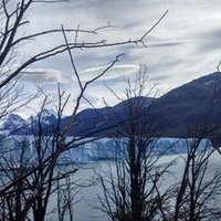 Rodo Cárdenas A. (@rodofueguino) 's Twitter Profile Photo