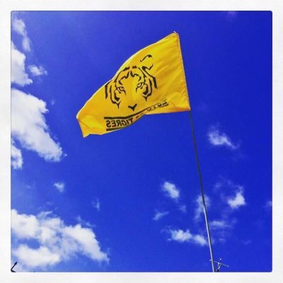 YoRivera_'s profile picture. Regia broncuda.
Madre de un huracán rosa adolescente y una niña torbellino. 
Preocupadisima x el México que les dejaré a mi niñas 😔