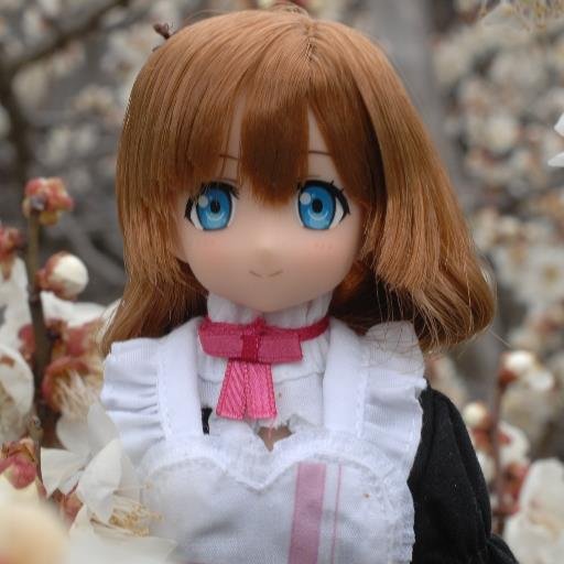 ほの提督（の中の人）さんのプロフィール画像