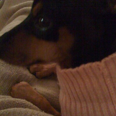 Profile Picture of Masha Anisimovna (@PhoenixMarie) on Twitter