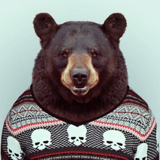 RoddyDarragon's profile picture. 