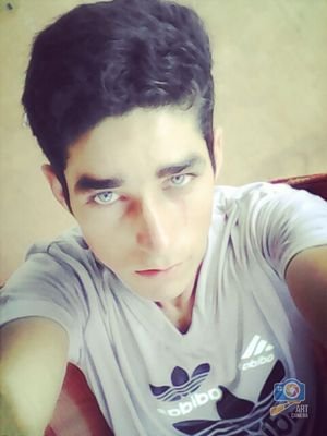 MigdonioRivera's profile picture. 