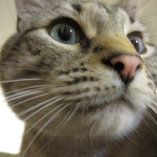 cheryleja's profile picture. 