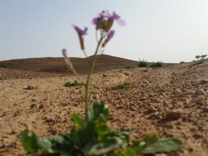 THA2US's profile picture. ...